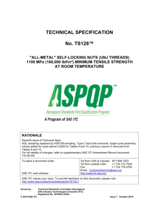 SAE TS 128-7-2019.pdf