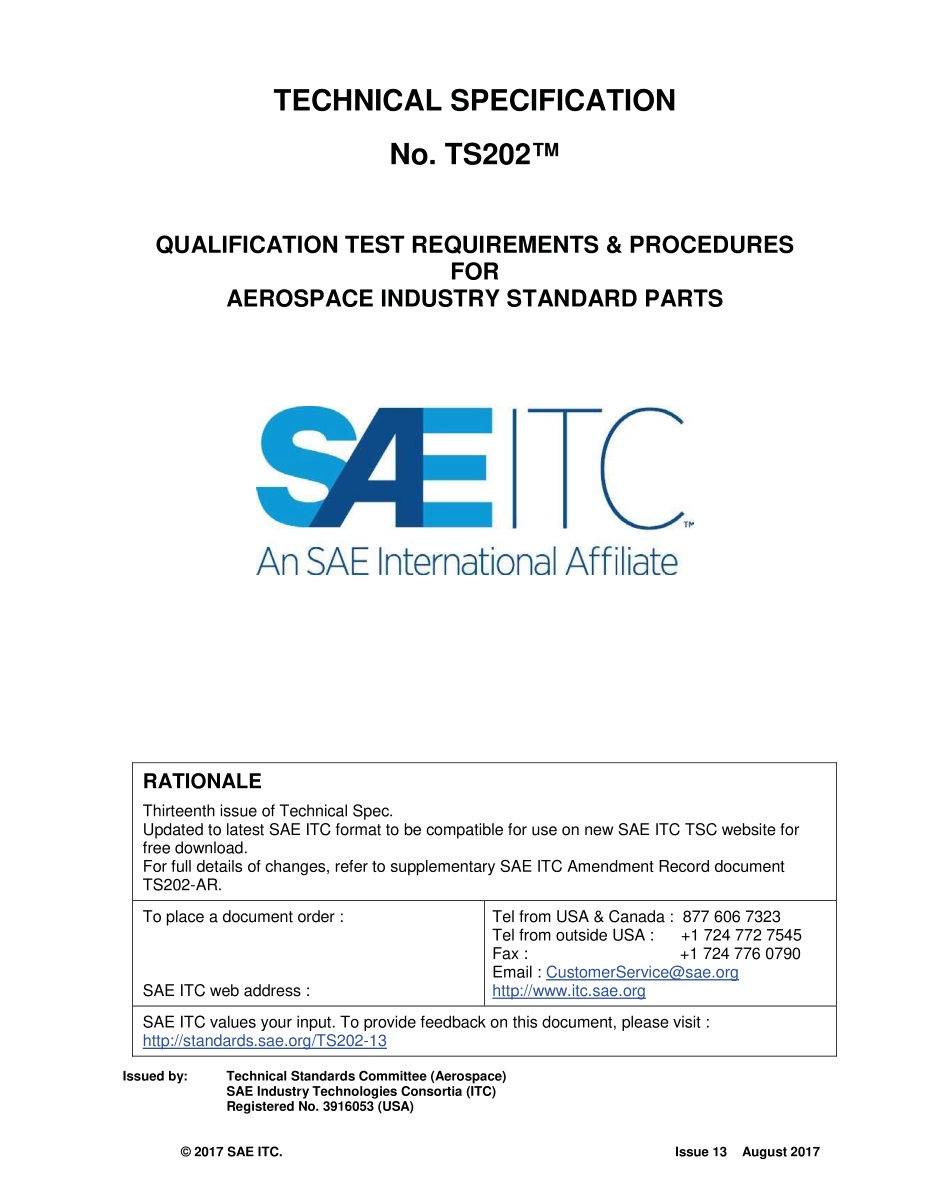 SAE TS 202-13-2017.pdf_第1页