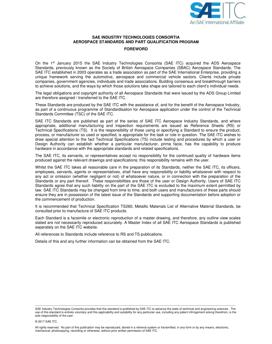 SAE TS 202-13-2017.pdf_第2页