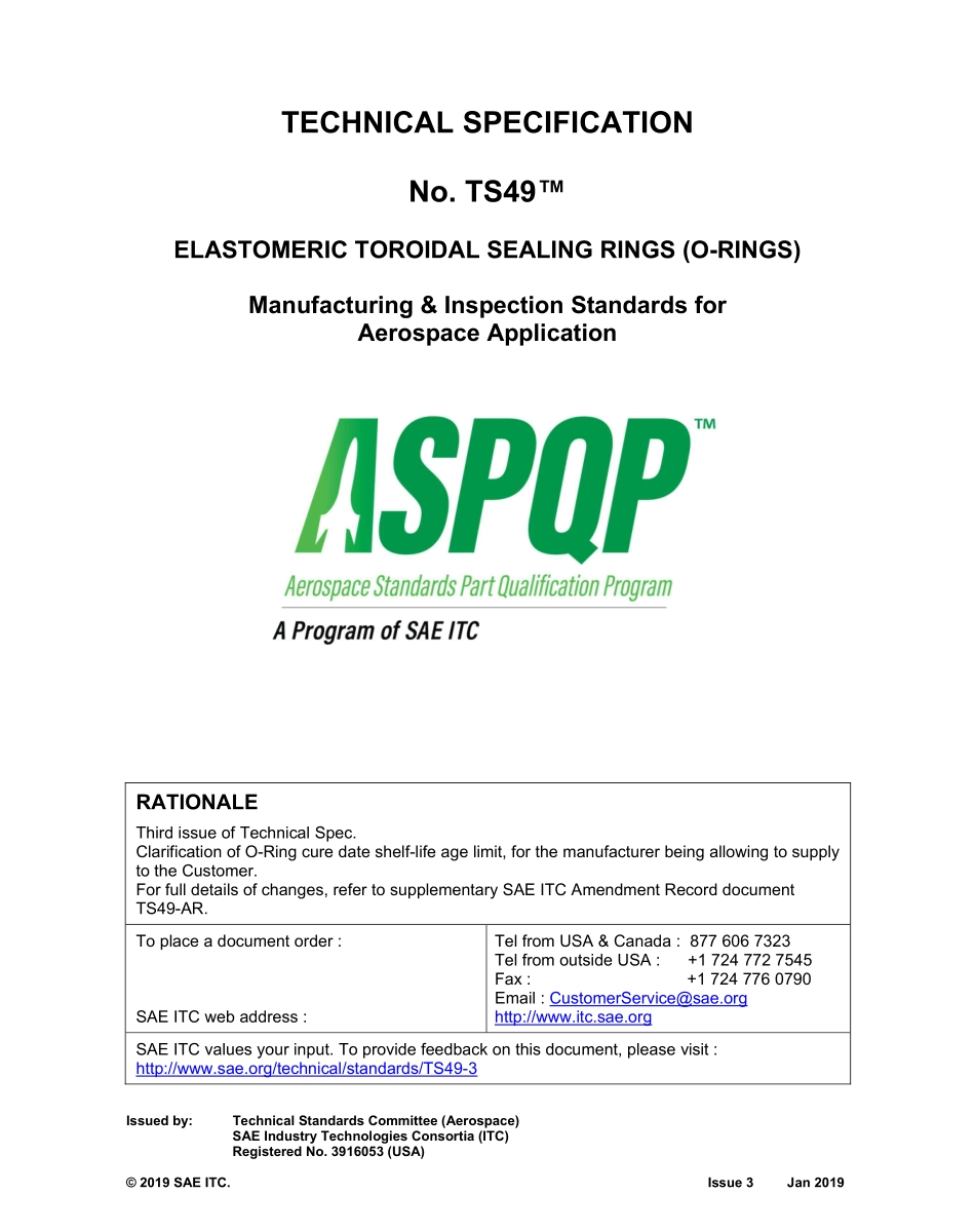 SAE TS 49-3-2019.pdf_第1页