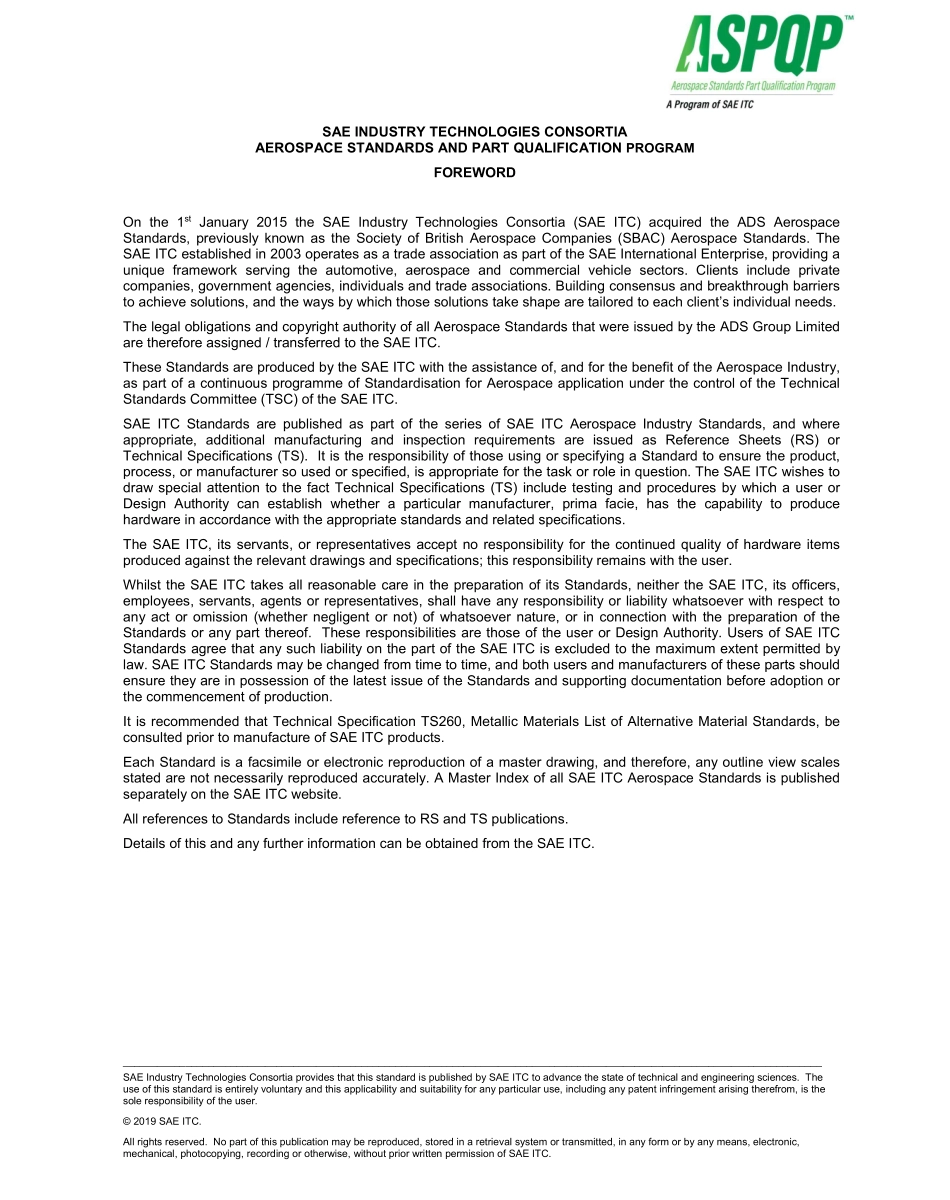 SAE TS 49-3-2019.pdf_第2页