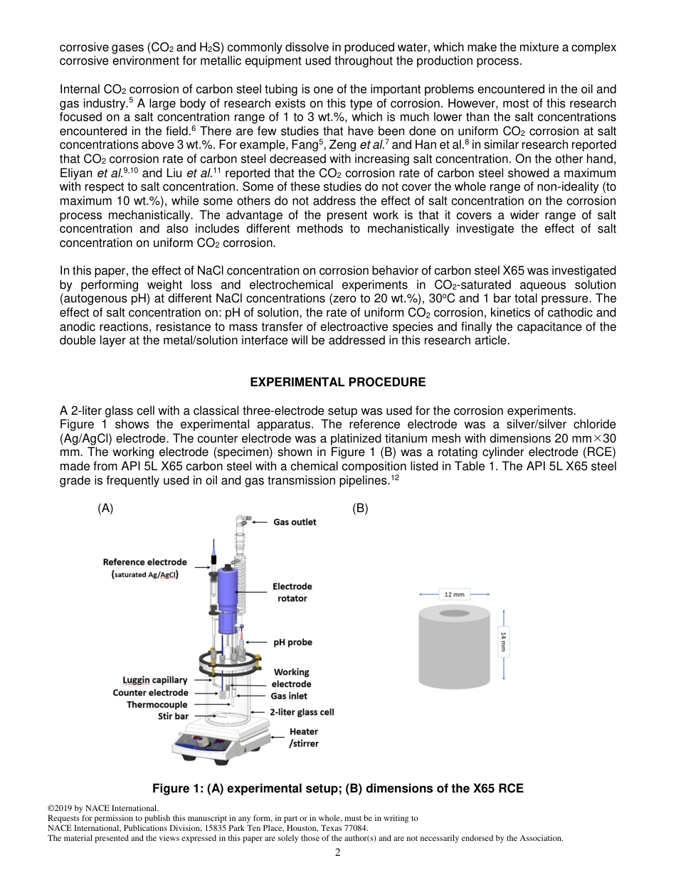 NACE Paper 13026-2019.pdf_第2页