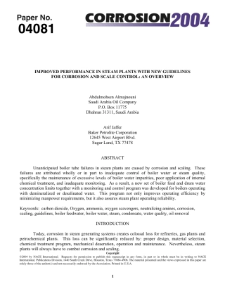 NACE Paper 04081-2004.pdf