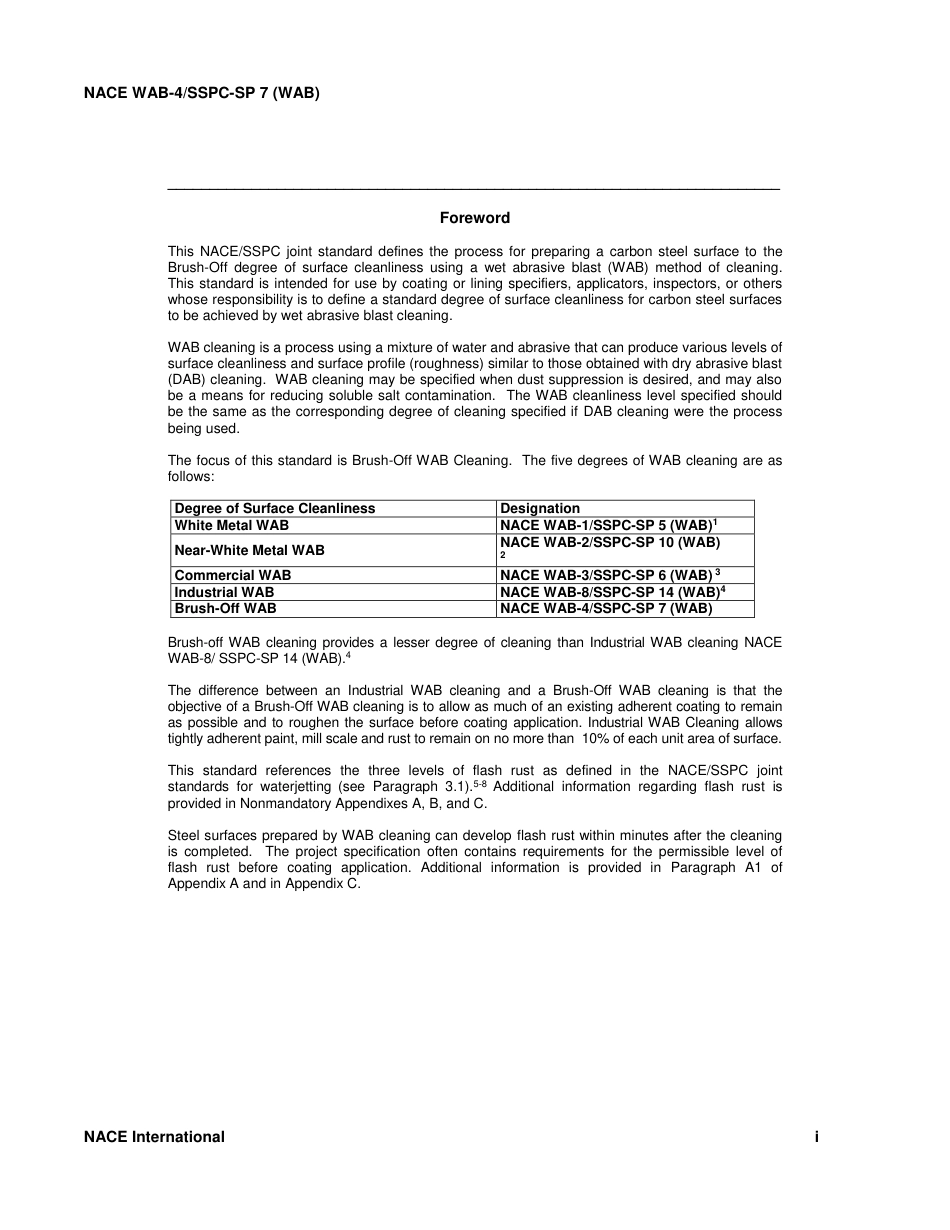 NACE WAB-4-2015 (NACE SP1015) SSPC-SP 7 (WAB).pdf_第3页