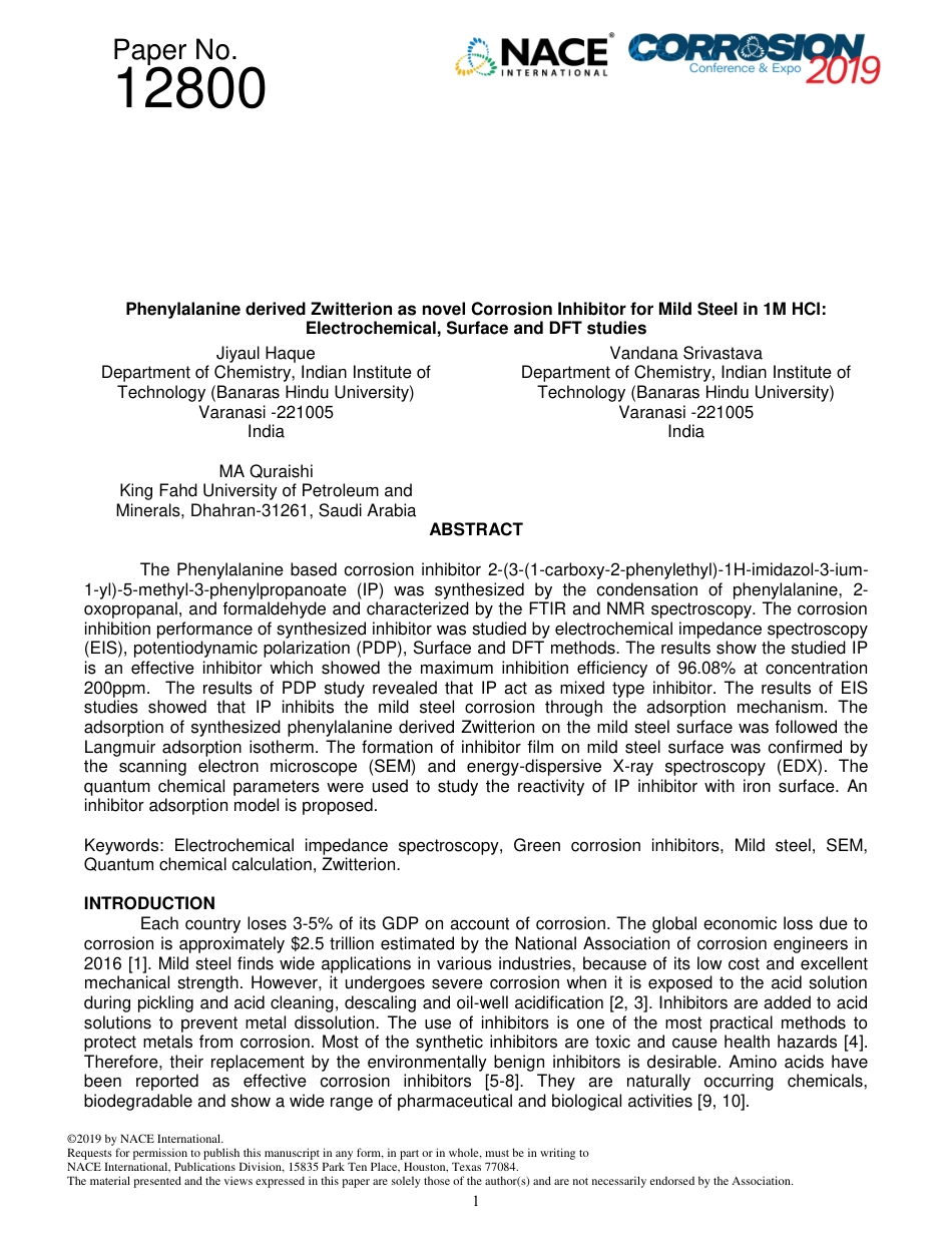 NACE Paper 12800-2019.pdf_第1页