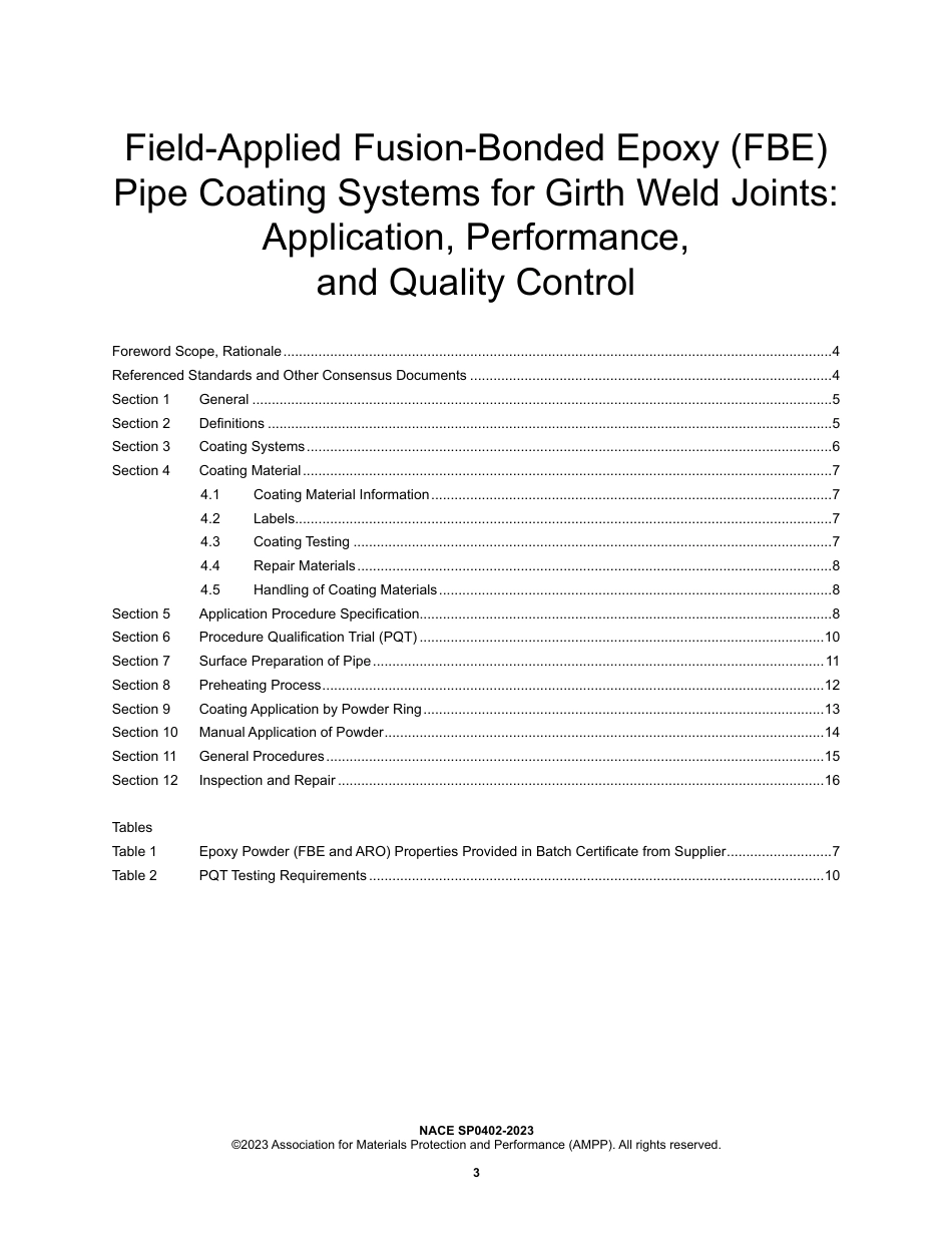 NACE SP0402-2023.pdf_第3页
