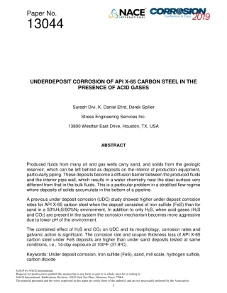 NACE Paper 13044-2019.pdf