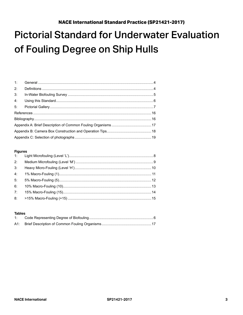 NACE SP21421-2017.pdf_第3页