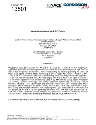 NACE Paper 13501-2019.pdf