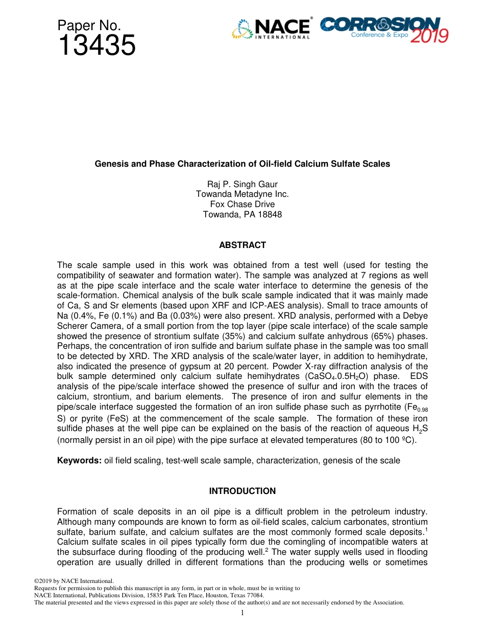 NACE Paper 13435-2019.pdf_第1页