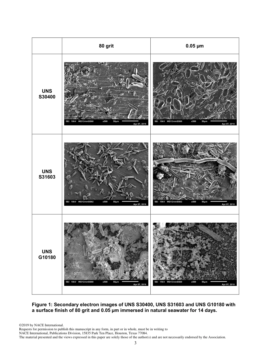 NACE Paper 13562-2019.pdf_第3页