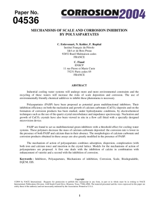 NACE Paper 04536-2004.pdf