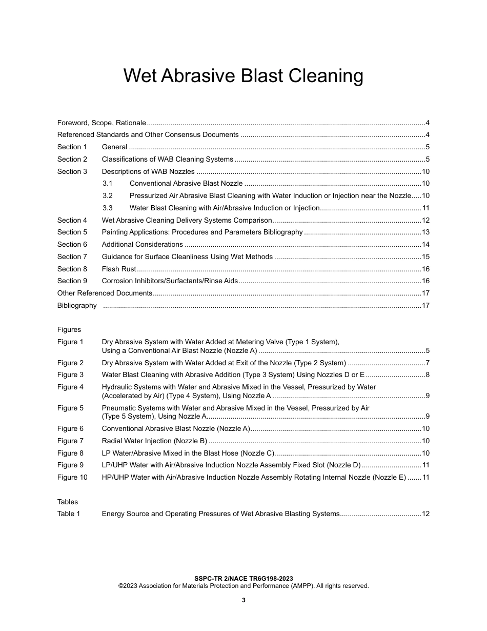 NACE TR6G198-2023 (SSPC TR 2-2023).pdf_第3页