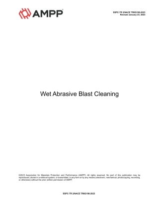 NACE TR6G198-2023 (SSPC TR 2-2023).pdf