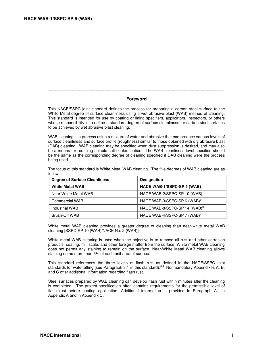 NACE WAB-1-2015 (NACE SP0715) SSPC-SP 5 (WAB).pdf_第3页
