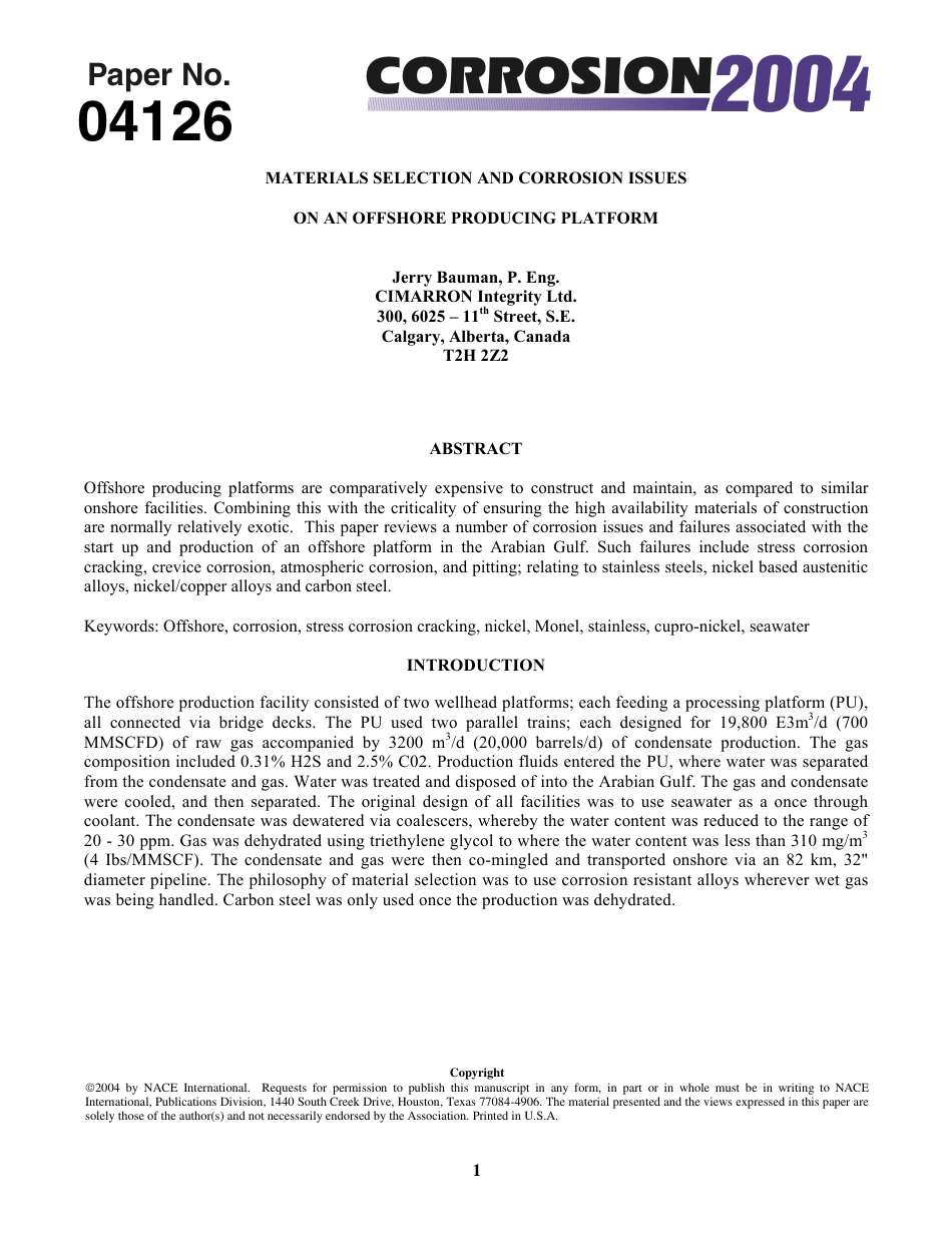 NACE Paper 04126-2004.pdf_第1页