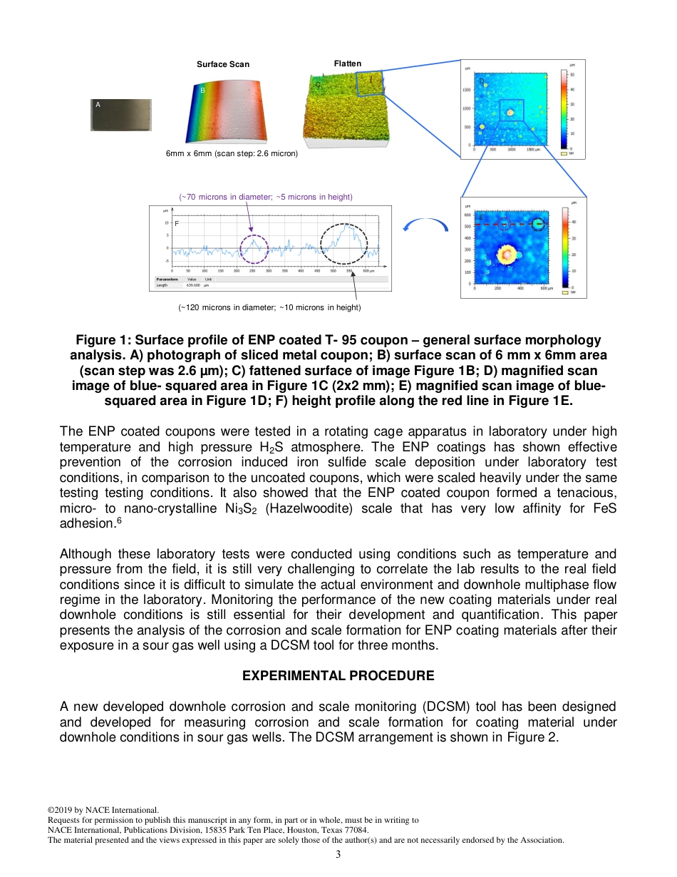 NACE Paper 12967-2019.pdf_第3页