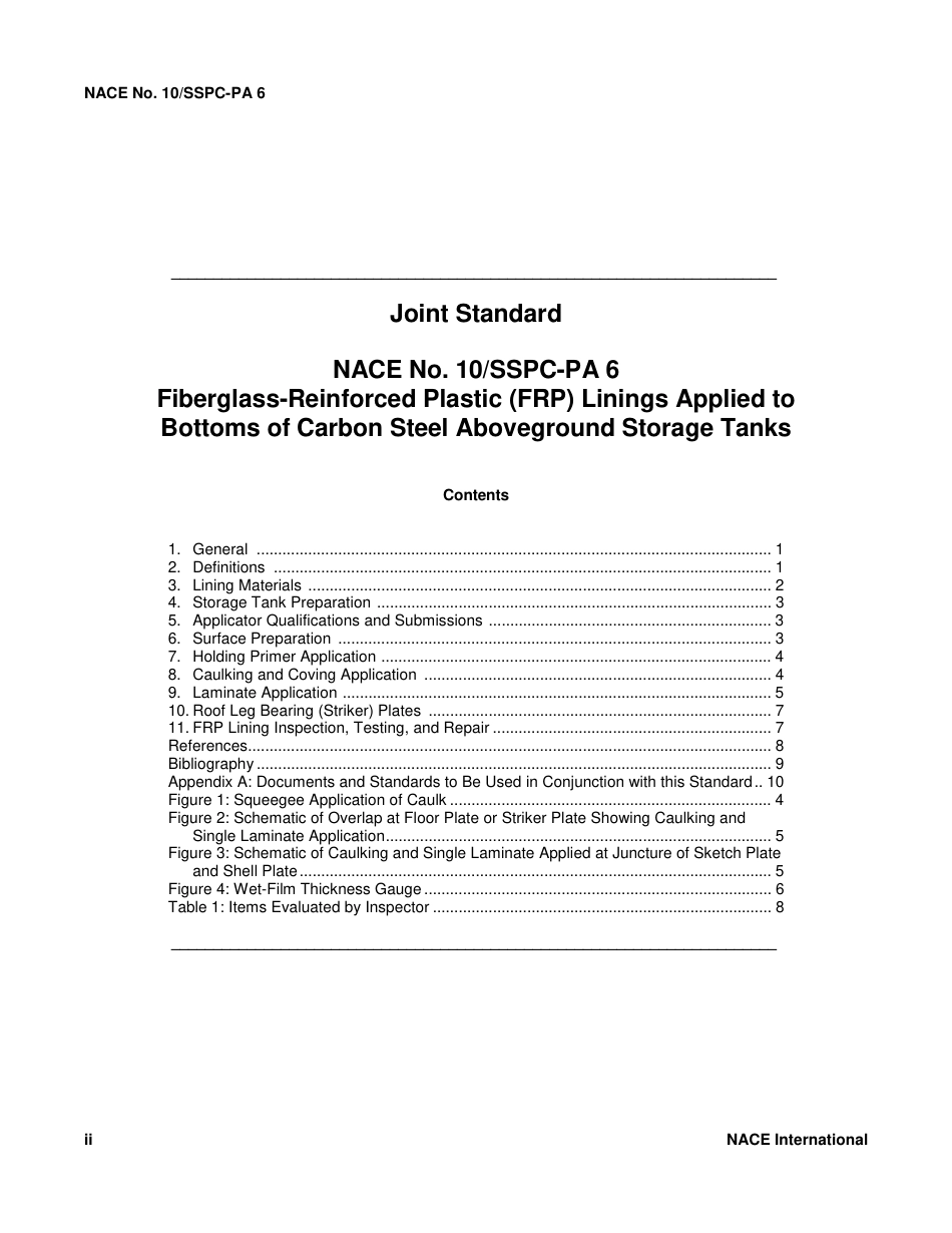 NACE No.10 SSPC-PA 6 2002.pdf_第3页