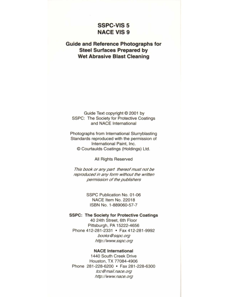 NACE VIS 9-2001 (2004) SSPC VIS 5.pdf_第2页