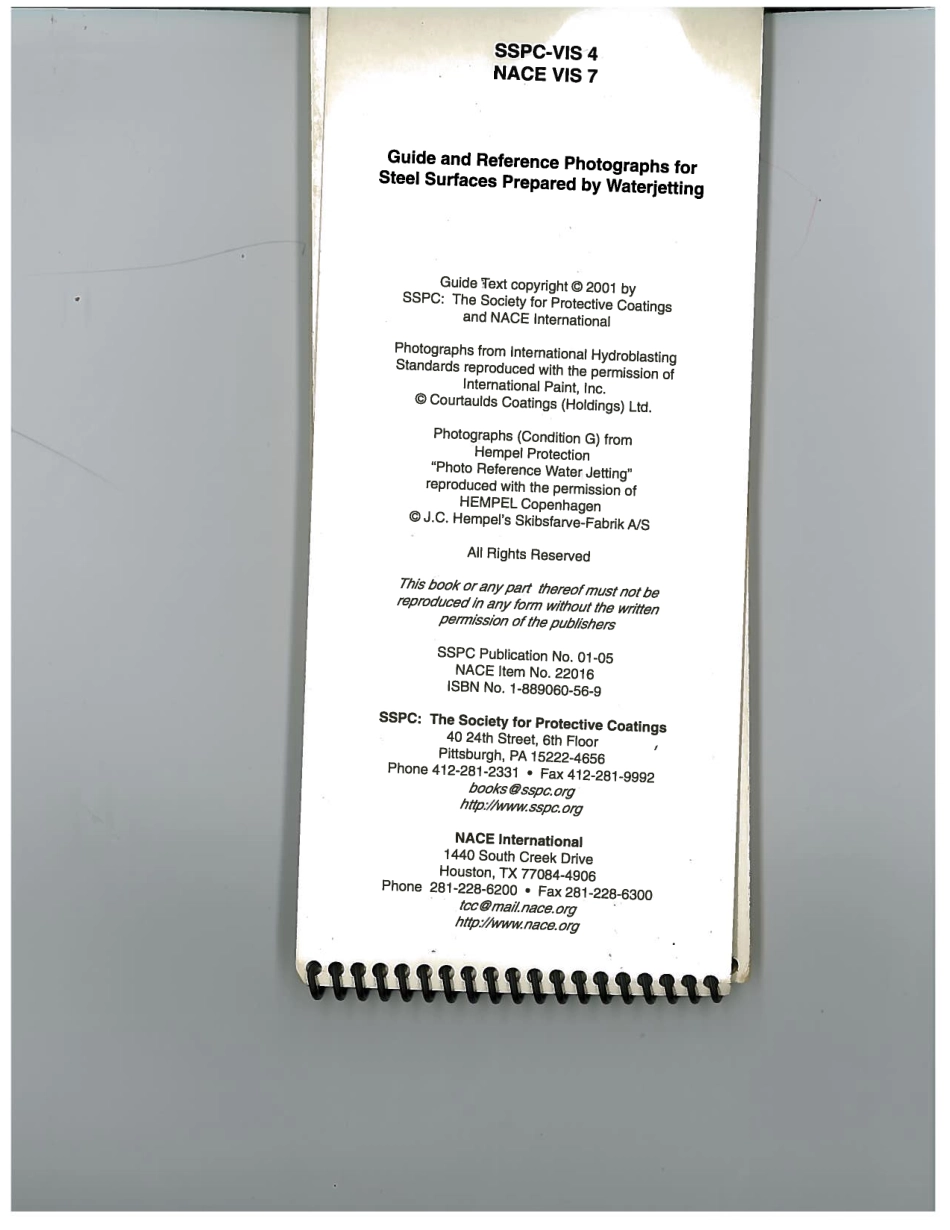 NACE VIS 7-2001 scan.pdf_第2页