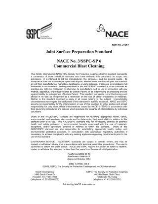 NACE No.3 SSPC-SP 6 2006.pdf