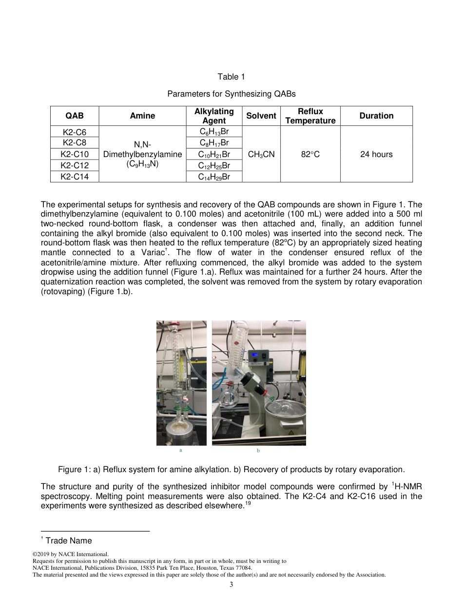 NACE Paper 13004-2019.pdf_第3页