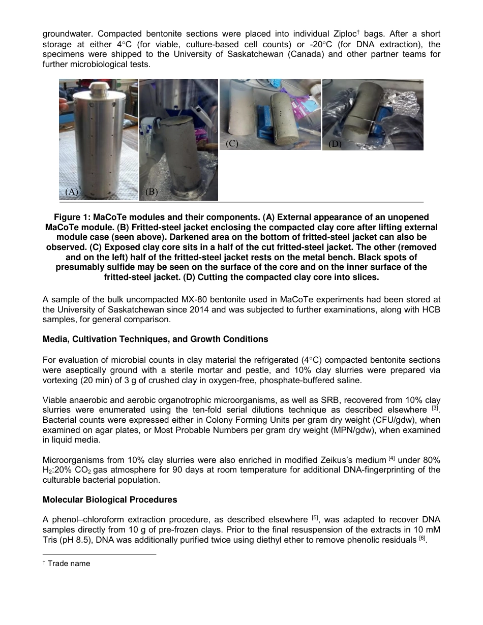 NACE Paper 15020-2020.pdf_第3页