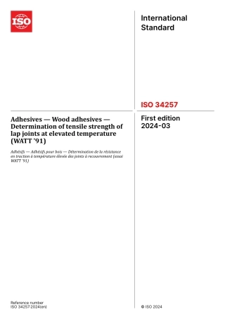 ISO 34257-2024.pdf