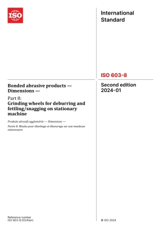 ISO 00603-8-2024.pdf