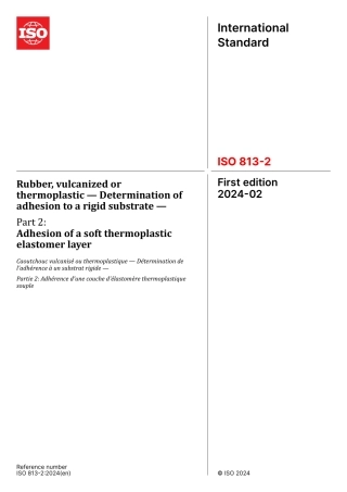 ISO 00813-2-2024.pdf