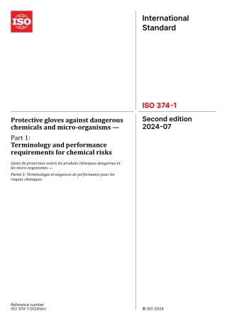 ISO 00374-1-2024.pdf