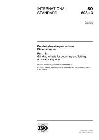 ISO 00603-13-1999.pdf