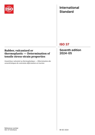 ISO 00037-2024.pdf