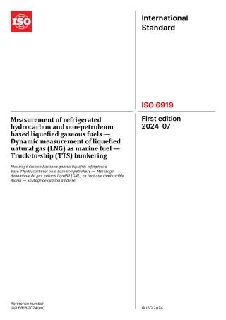 ISO 06919-2024.pdf