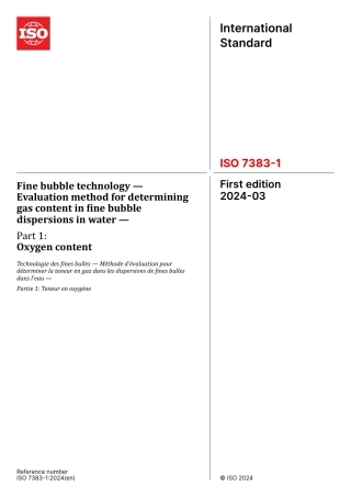 ISO 07383-1-2024.pdf