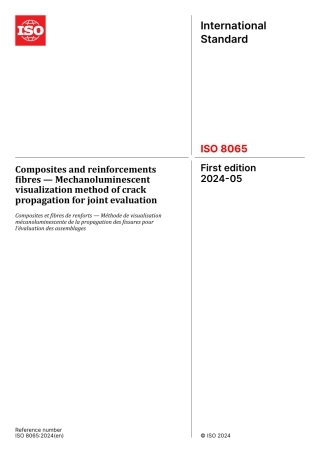 ISO 08065-2024.pdf