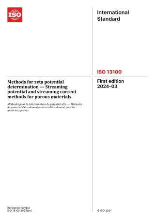 ISO 13100-2024.pdf