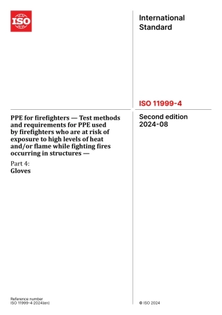 ISO 11999-4-2024.pdf