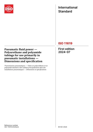 ISO 11619-2024.pdf