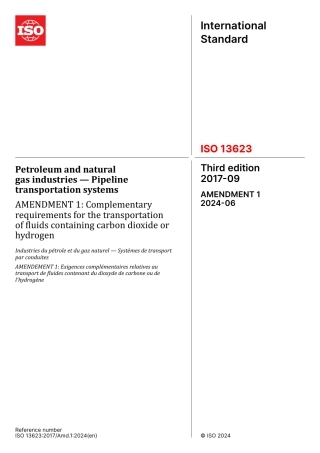 ISO 13623-2017 amd1-2024.pdf