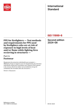ISO 11999-6-2024.pdf