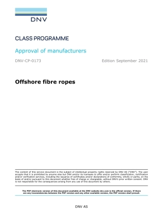 DNV-CP-0173-2021.pdf