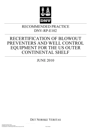 DNV-RP-E102-2010.pdf