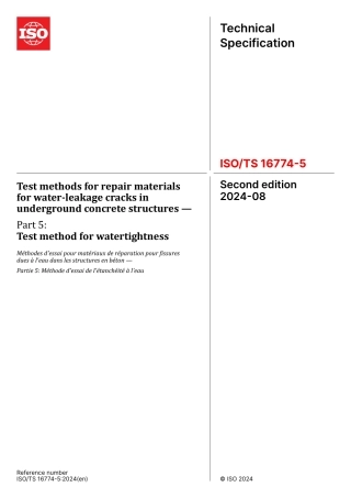 ISO TS 16774-5-2024.pdf