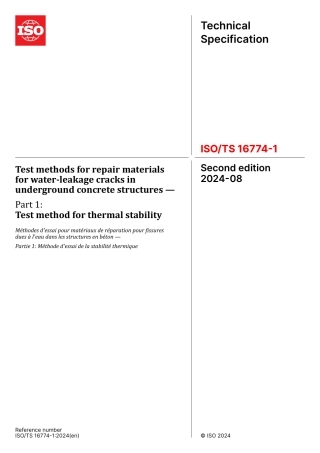 ISO TS 16774-1-2024.pdf