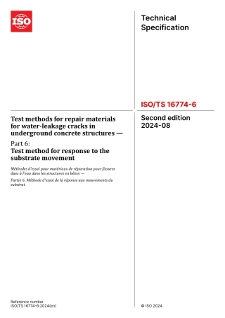 ISO TS 16774-6-2024.pdf