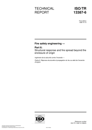 ISO TR 13387-6-1999.pdf