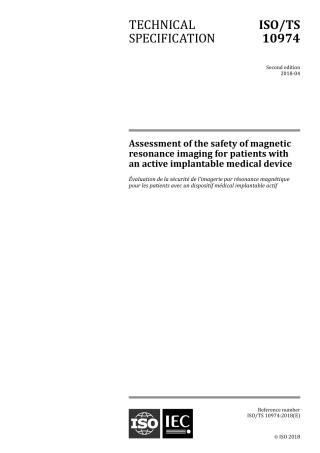 ISO TS 10974-2018.pdf