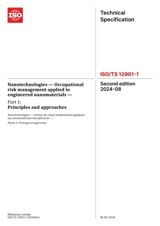 ISO TS 12901-1-2024.pdf