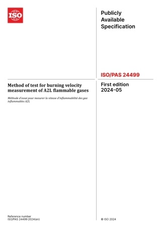 ISO PAS 24499-2024.pdf